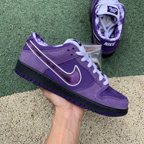 Authentic Nike Dunk SB Concepts Purple Lobster