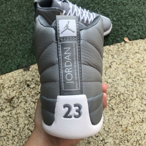 Air Jordan 12 “Stealth”