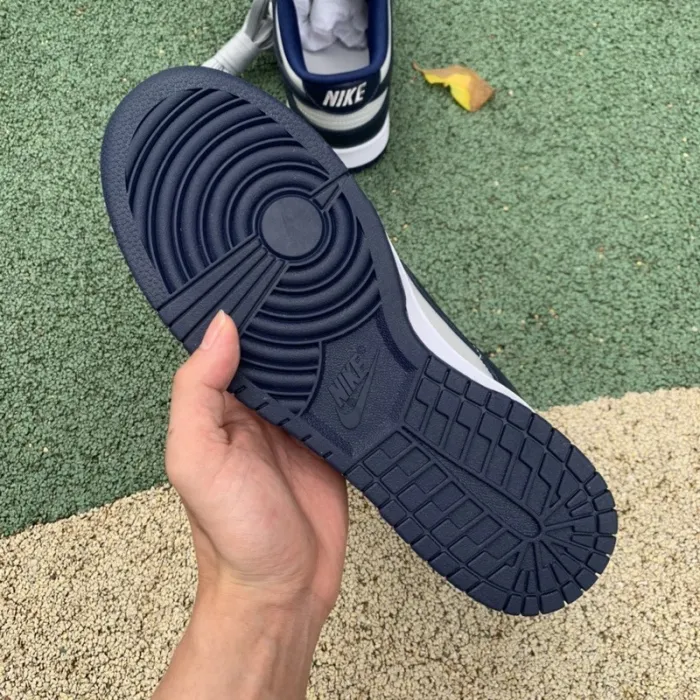 Nike Dunk Low Georgetown