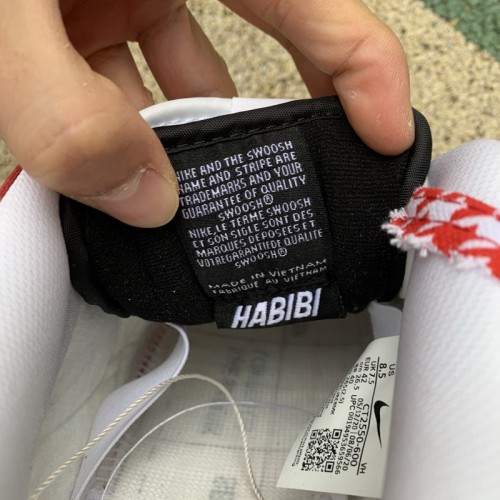 Authentic Frame Skate x Nike SB Dunk Low “Habibi”