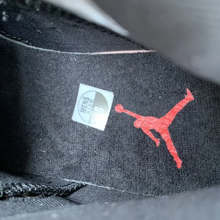 Authentic Air Jordan 6 “Flint”