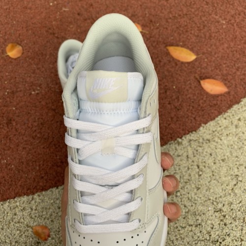 Nike Dunk Low Photon Dust