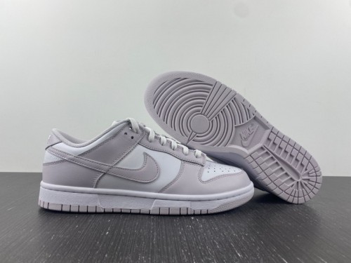 Nike Dunk Low Venice