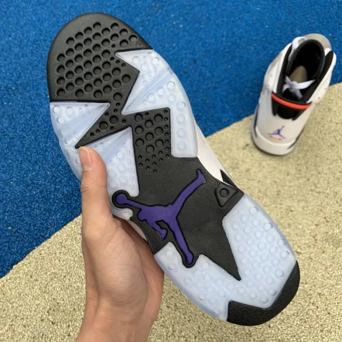 Authentic Air Jordan 6 “Flint”
