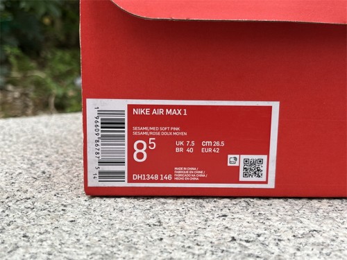 Nike Air Max 1 Shoes