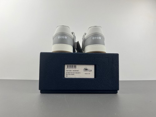 Dior B27 Low Gray White