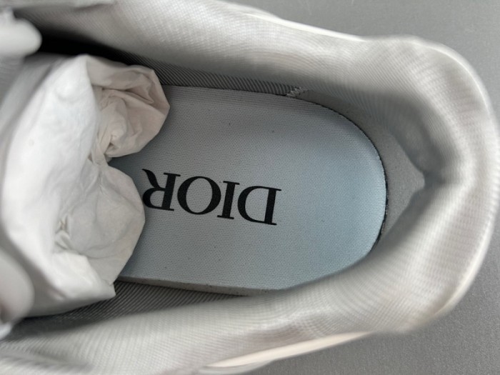 Dior b27 Low Shoes