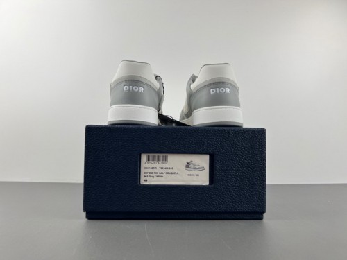 Dior b27 Low Shoes