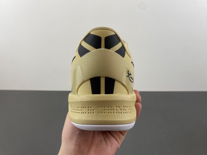 Nike Kobe 8 Protro TB Champagne Gold
