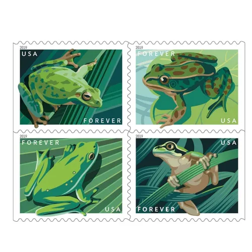 Frogs 2019