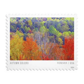 Autumn Colors 2024