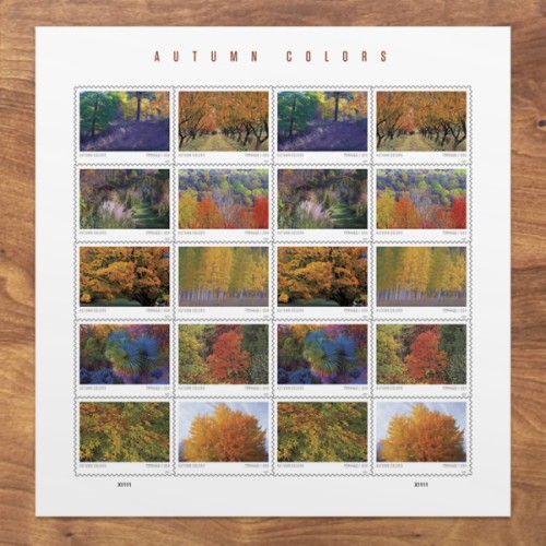 Autumn Colors 2024