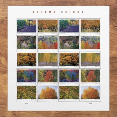 Autumn Colors 2024