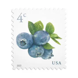 Blueberries
