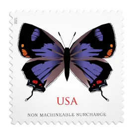 Colorado Hairstreak