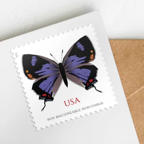 Colorado Hairstreak