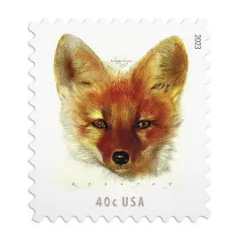 Red Fox 2023