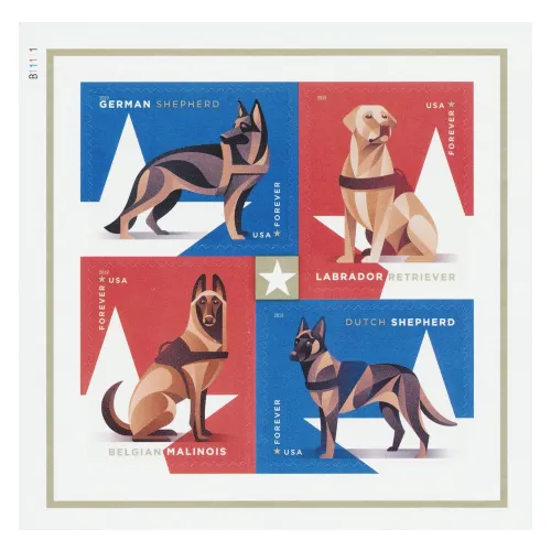 Military Working Dogs 2019