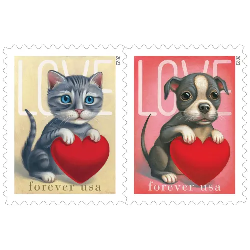 Cats and dogs 2023