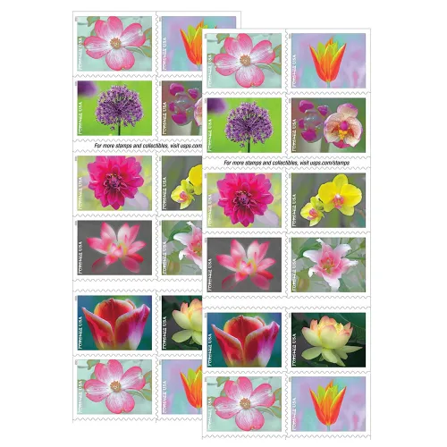 Garden Beauty  2021