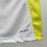 Mens Indiana Pacers Nike White 2024/25 Swingman Jersey - City Edition