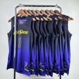 Mens Los Angeles Lakers NIKE Black - Puple 2024/25 Swingman Jersey - City Edition