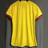 23-24 Colombia Yellow Special Edition Fans Soccer Jersey