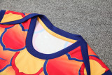 24-25 Mens Barcelona Red-Yellow Vest Short traning suit