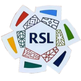 24-25 AL-Nassr Away Player Version Soccer Jersey