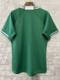 2023 Ireland RUGBY WORLD CUP Home Rugby Jersey