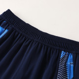 2024 AD Royal blue Training Long Pants #AK05