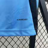 24-25 Burgos CF Third Fans Soccer Jersey