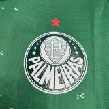 24-25 Palmeiras White Special Edition Training shirts