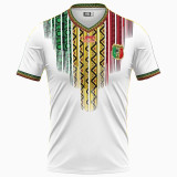 24-25 Mali Home Fans Soccer Jersey