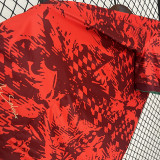 24-25 Portugal Red Training Shirts