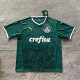 22-23 Camisa Puma Do Palmeiras Oficial  (classicS/n) Verde