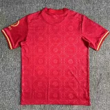 24-25 Bayern 125th Anniversary Fans Soccer Jersey