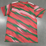 24-25 Wales Red Training shirts