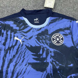 24-25 Paraguay Away Fans Soccer Jersey