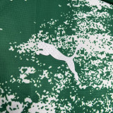 24-25 Palmeiras White Special Edition Training shirts