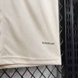 24-25 Lyon Special Edition Training shirts