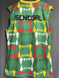 23-24 Senegal Green Vest