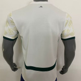 24-25 Ivory coast Away Fans Soccer Jersey