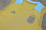 24-25 Argentina Earthy Gold Tank top and shorts suit