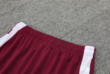 24-25 Bayern Deep Red Half Pull Tracksuit
