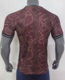 Mens Denmark Special Dark Red Jersey 2025