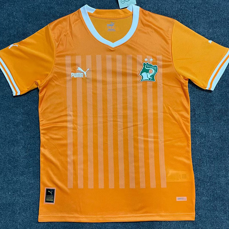 22-23 Ivory coast Home Fans Soccer Jersey