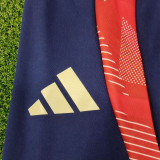 24-25 Spain Royal blue Training Long Pants (Have Pocket)