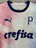23-24 Palmeiras White Pink Blue Special Edition Training shirts