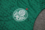24-25 Palmeiras Green Tank top and shorts suit